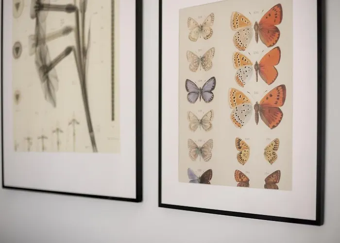 アパート Sunny, Peaceful & Spacious By Urban Rent *