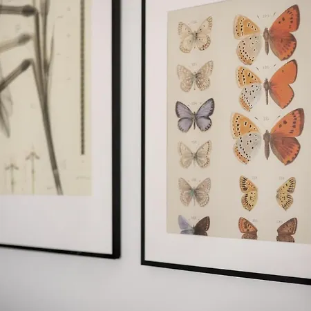 公寓 Sunny, Peaceful & Spacious By Urban Rent *